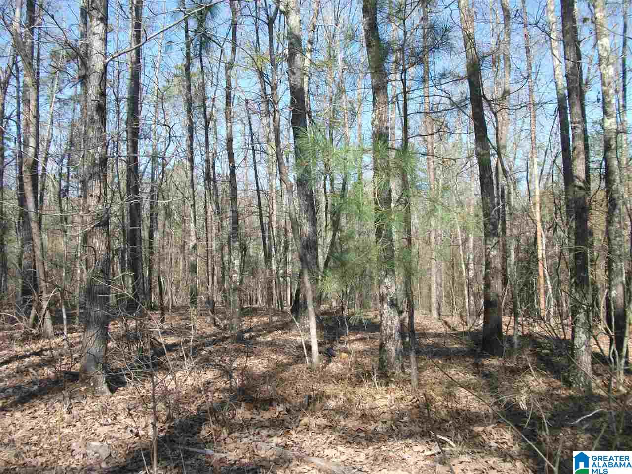 Tbd Old Shocco Road, Unit 4/4 Talladega, AL 35160 - Photo 1 of 1 Gallery Image 1