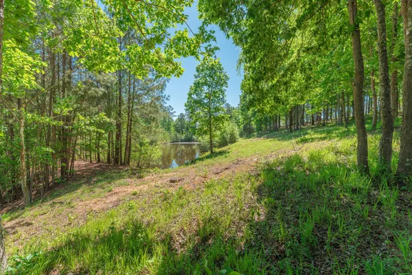 $675,000 | 6 Cotton Gin Court, North Augusta, SC 29860