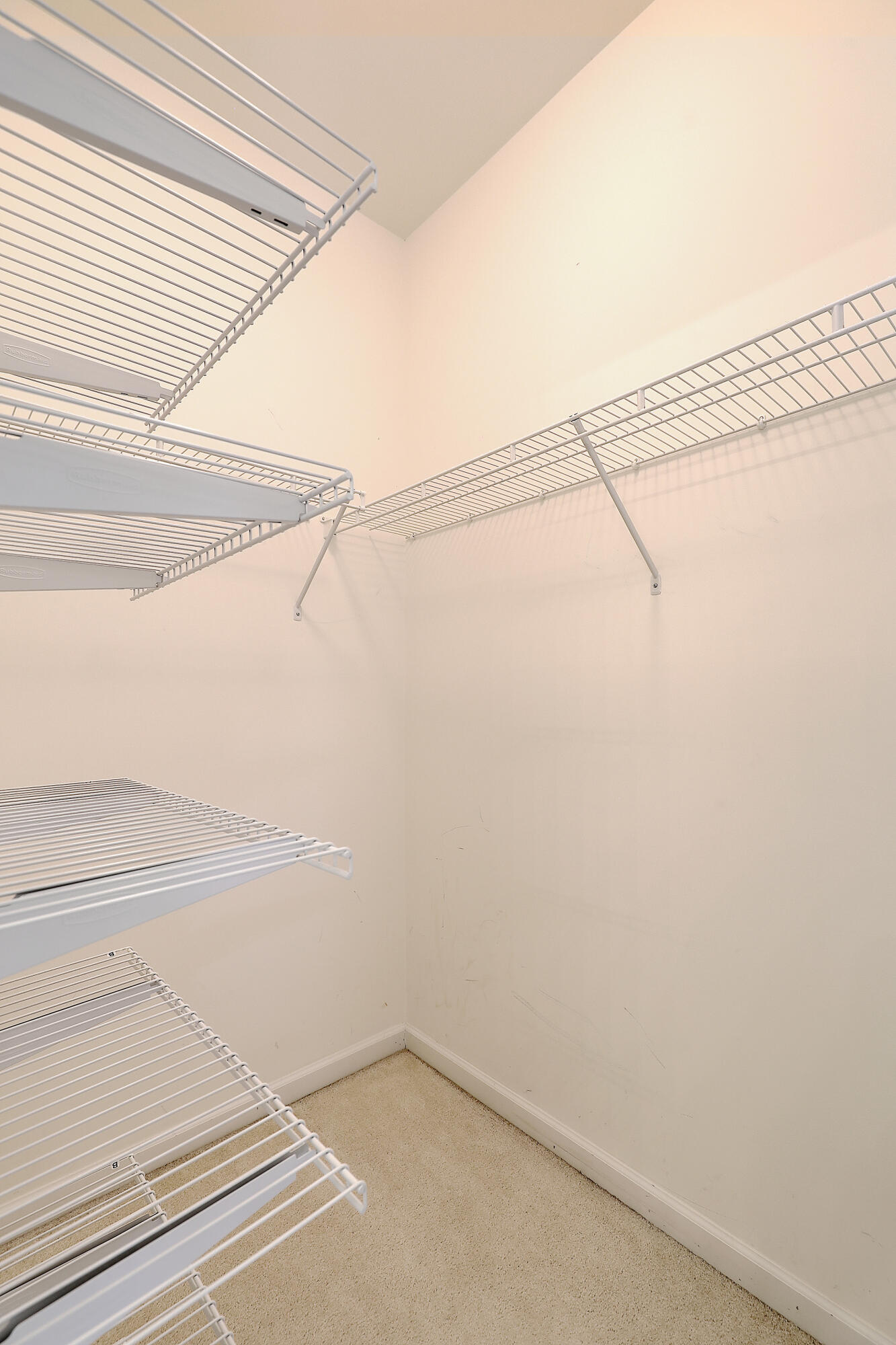 3151 Sonja Way Mount Pleasant, SC 29466 - Photo 29 of 51 Walk-in closet