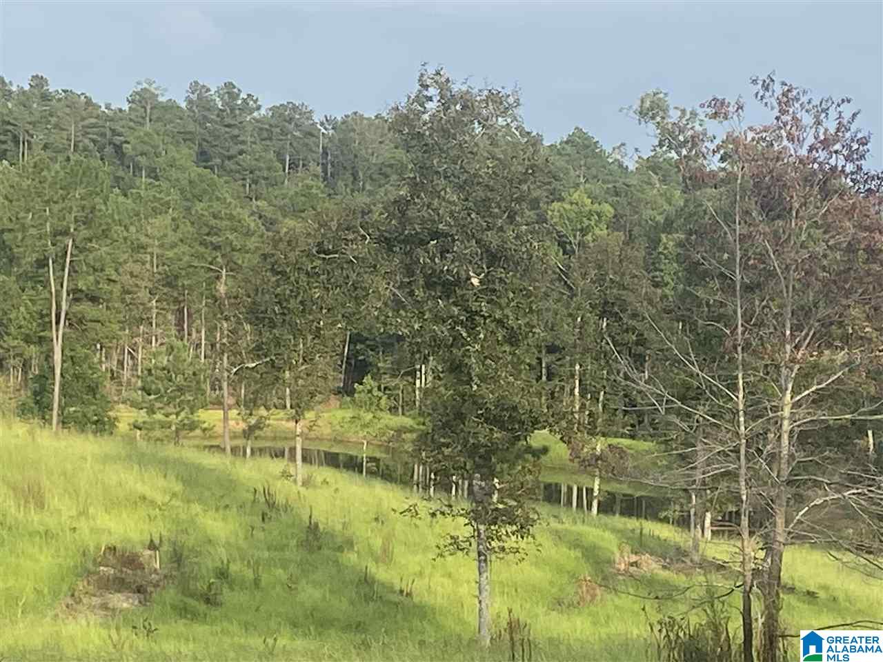 0 County Road 29, Unit 85 AC Wedowee, AL 36278 - Photo 6 of 6