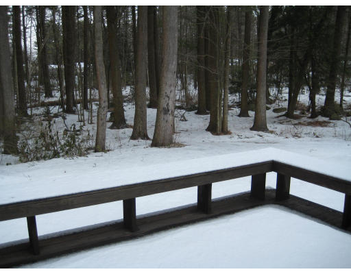 44 Old Stage Road Chelmsford, MA 01824 - Photo 3 of 12