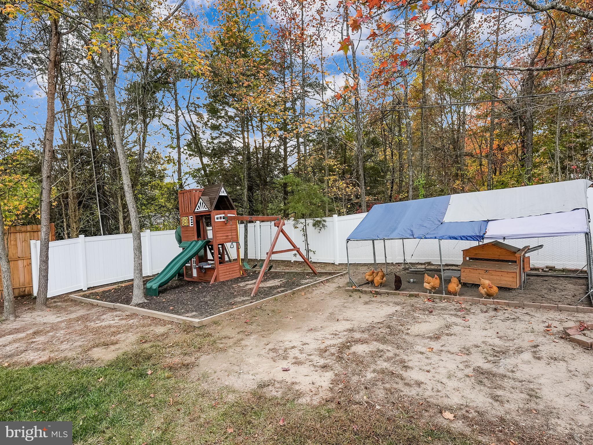 375 Hope Road Stafford, VA 22554 - Photo 41 of 45 Playset Conveys. Chicken coop & chickens do not.