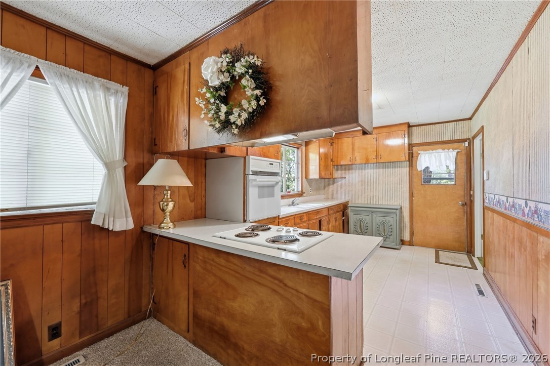 3993 McArthur Road Broadway, NC 27505 - Photo 14 of 50