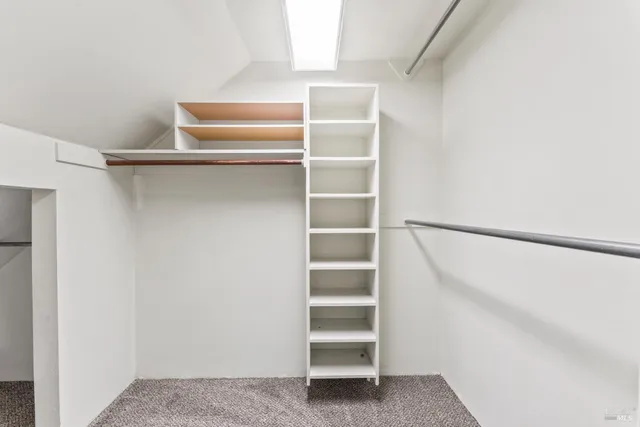 a view of a garden with a tree