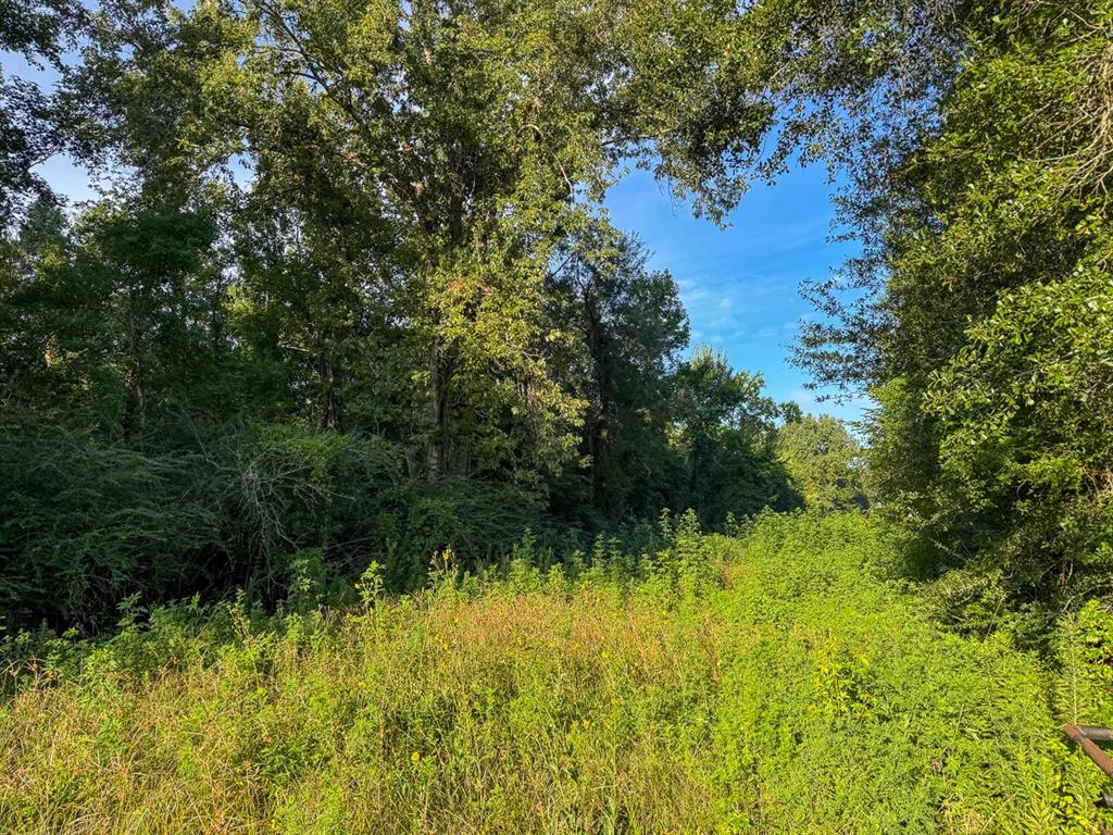 2 Edgerly Road Dequincy, LA 70633 - Photo 11 of 14 a view of a garden