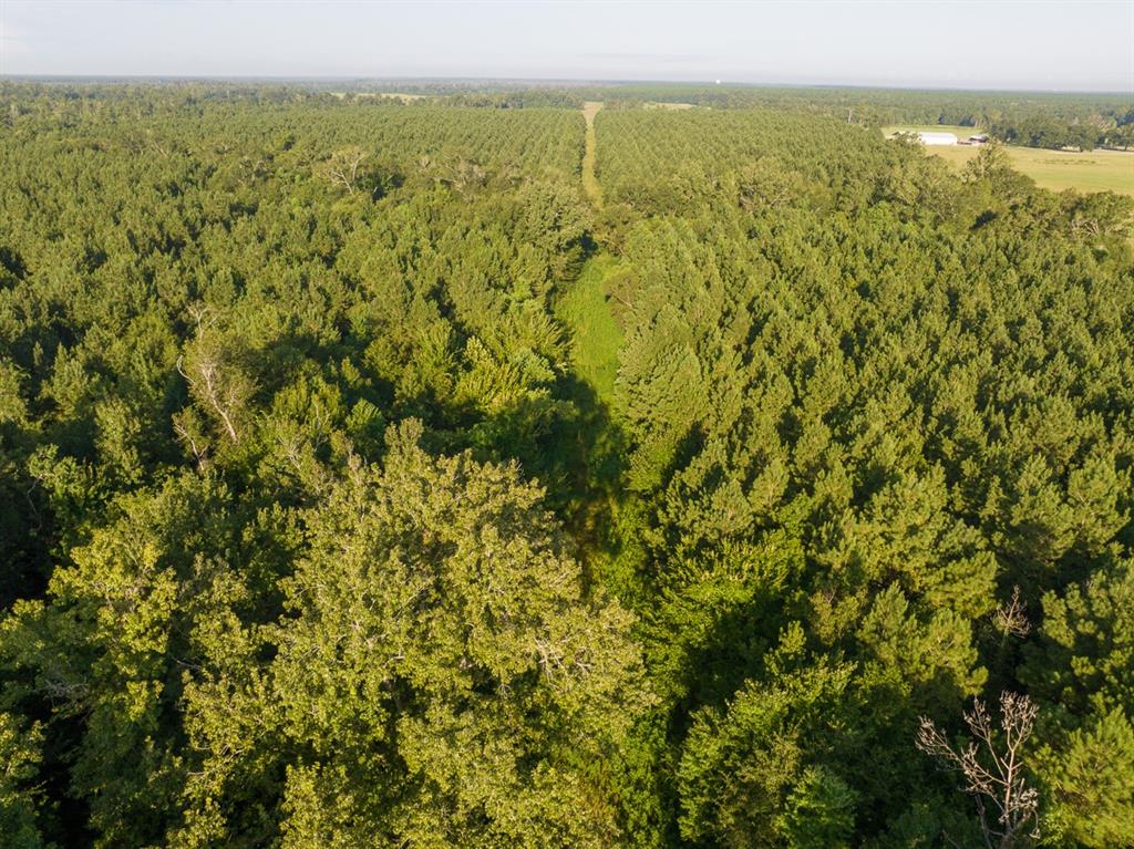 2 Edgerly Road Dequincy, LA 70633 - Photo 6 of 14