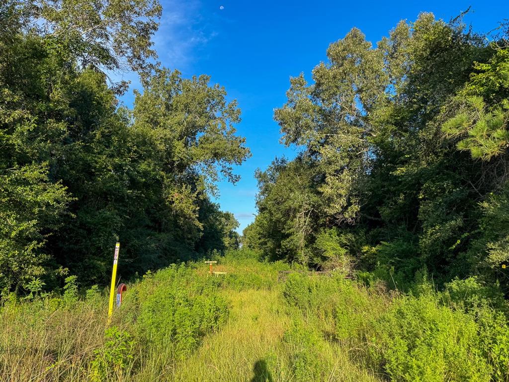 2 Edgerly Road Dequincy, LA 70633 - Photo 9 of 14 a view of a garden