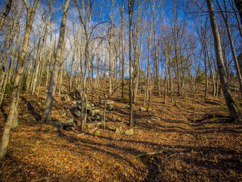0 Log Road, Unit D6 Spring City, TN 37381 - Photo 2 of 6 A3c