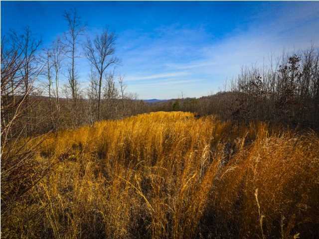 0 Log Road, Unit D6 Spring City, TN 37381 - Photo 4 of 6 Primary Photo