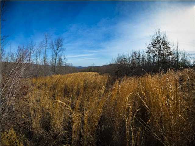 0 Log Road, Unit D6 Spring City, TN 37381 - Photo 6 of 6 Additional Photo