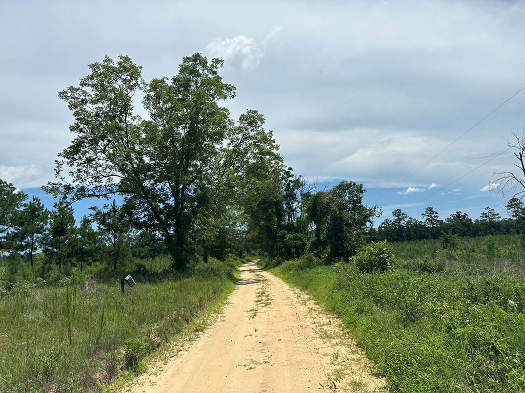 250 Adams Mill Road Clayton, AL 36016 - Photo 25 of 74