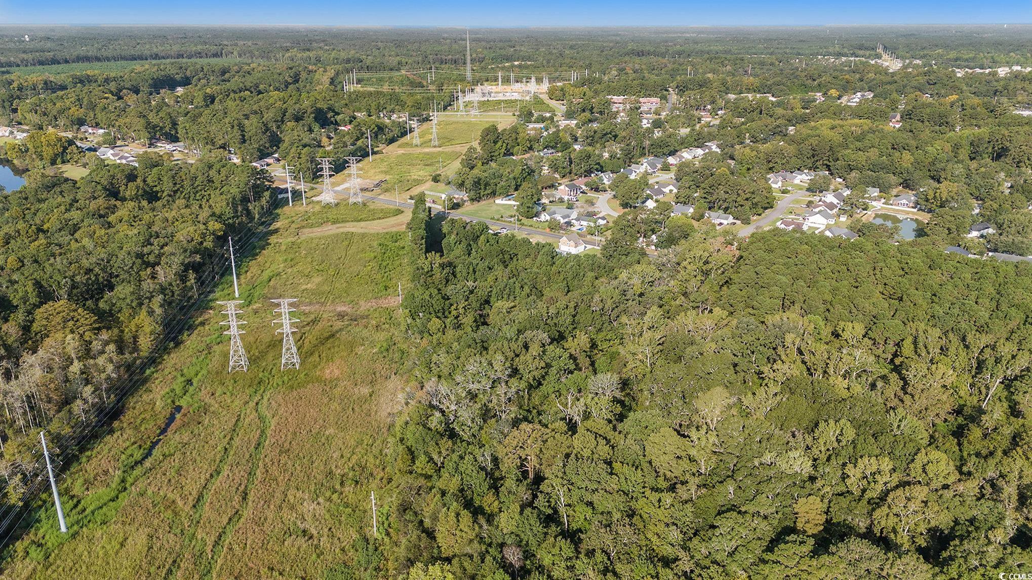Tbd New Road Conway, SC 29527 - Photo 4 of 10