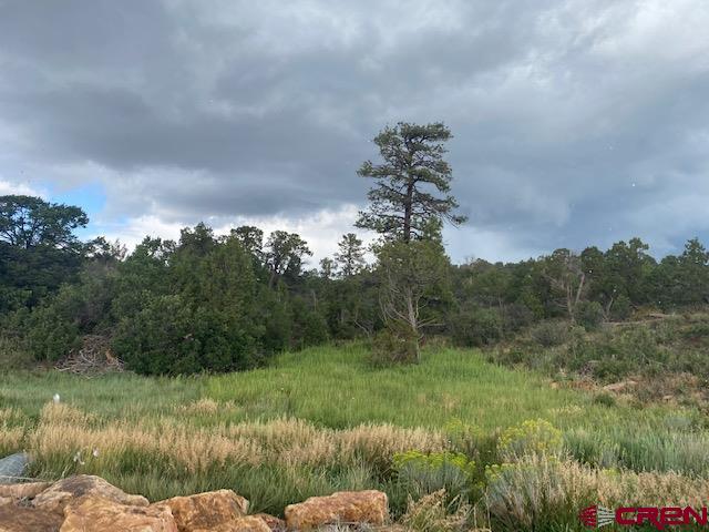 15 Road 15 Cahone, CO 81320 - Photo 1 of 5 a view of a yard with a garden