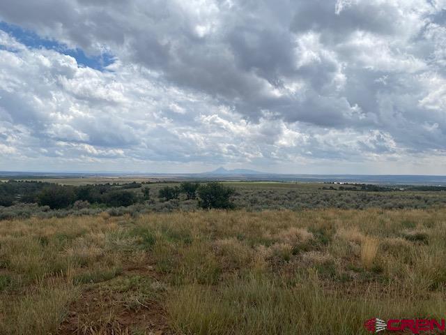 15 Road 15 Cahone, CO 81320 - Photo 2 of 5 a view of a yard and mountain in back