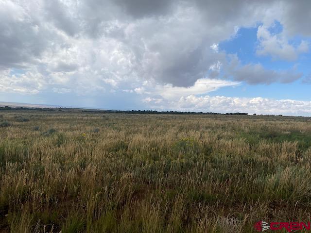 15 Road 15 Cahone, CO 81320 - Photo 3 of 5 a view of a lake in middle of forest