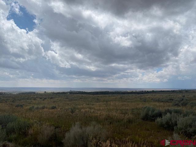 15 Road 15 Cahone, CO 81320 - Photo 4 of 5 a view of city and green field