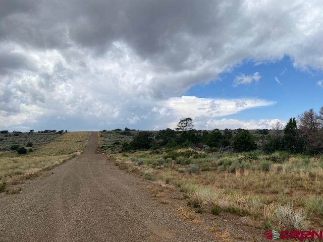 15 Road 15 Cahone, CO 81320 - Photo 5 of 5 a view of a lake with trees in the background
