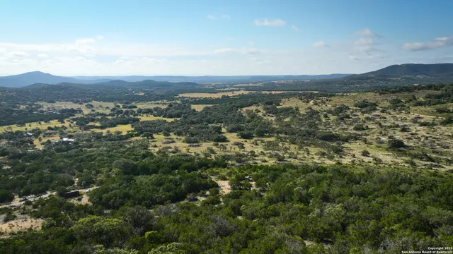 an aerial view of mountain with trees