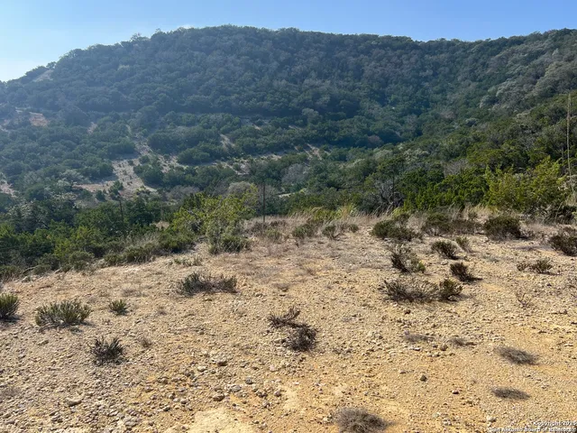 a view of a dry field with trees in the background