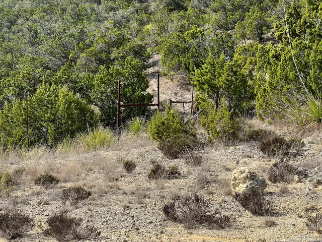 a view of a lake with a tree