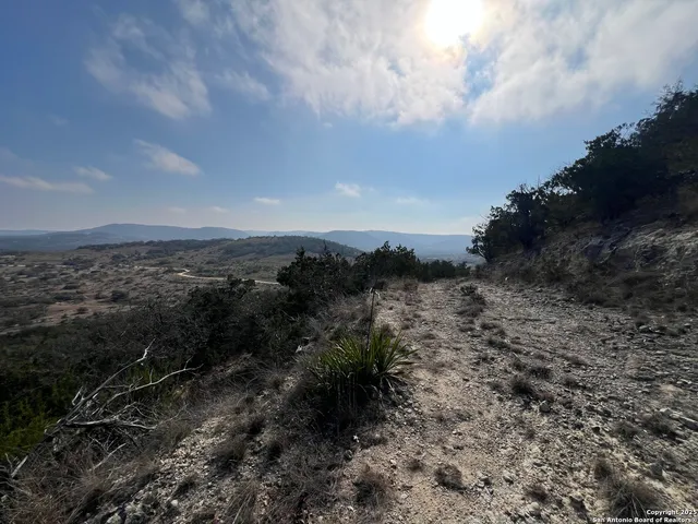 a view of a dry yard with lots of trees