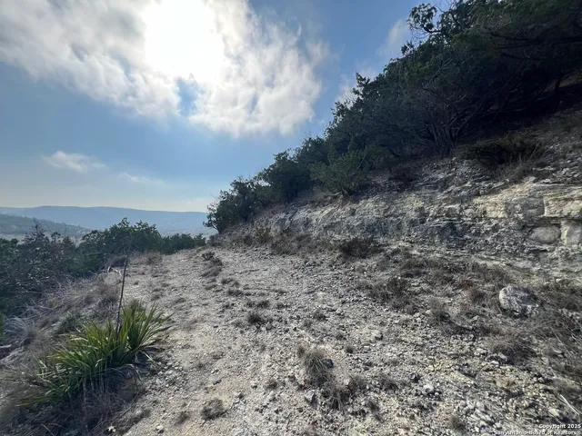 a view of a dry yard with trees