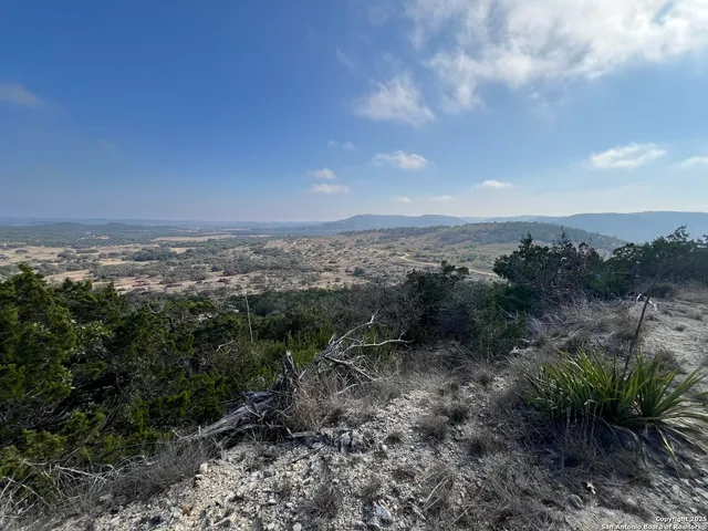 a view of a big yard with lots of green space