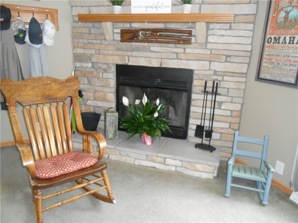 6390 Snake Trail Road Charleston, IL 61920 - Photo 3 of 23