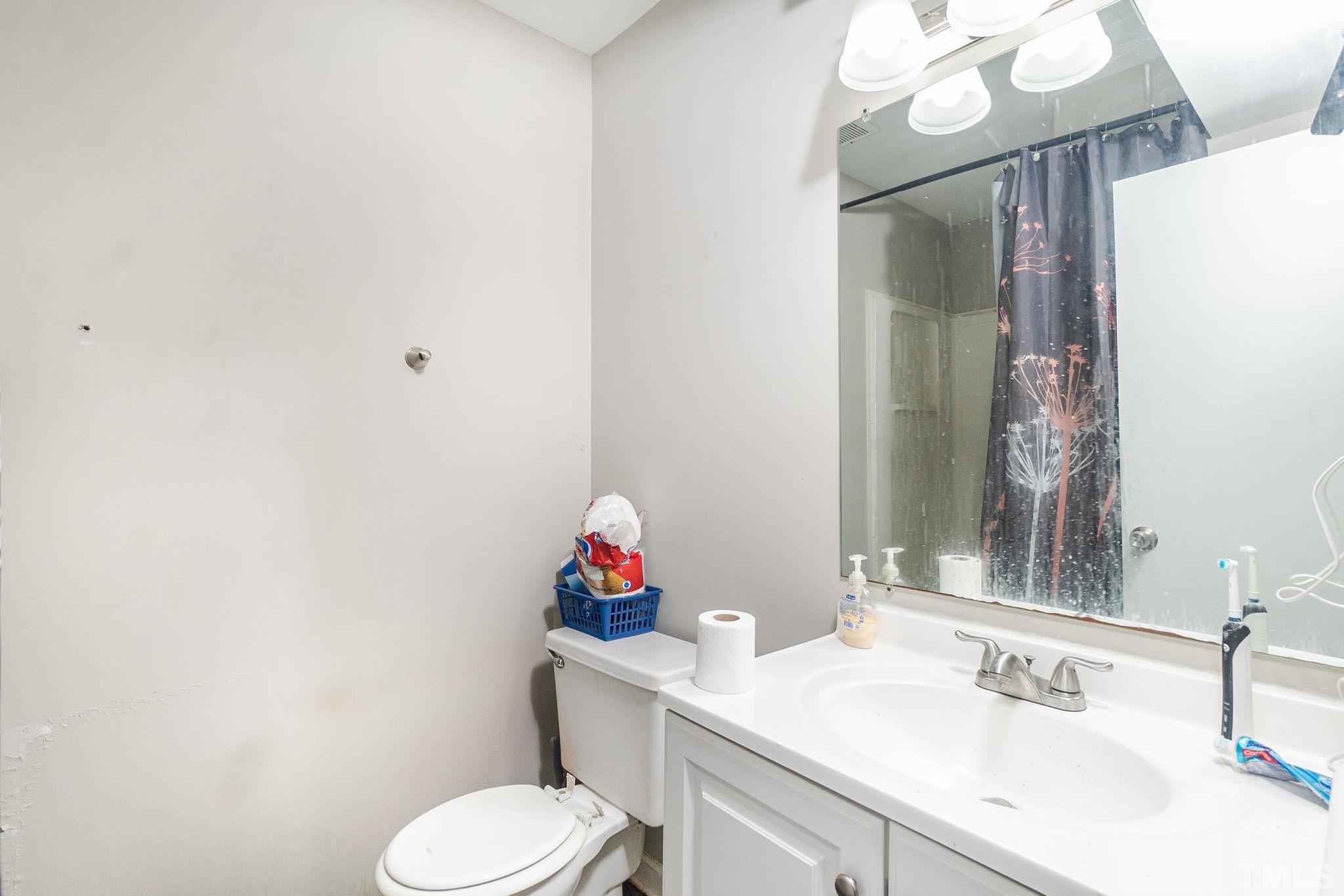 133 Bashford Road Raleigh, NC 27606 - Photo 14 of 45 a bathroom with a sink toilet and a mirror