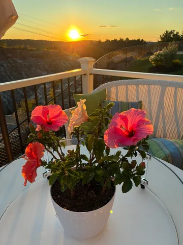 $750,000 | 24 Del Ray Drive, Windham, NH 03087