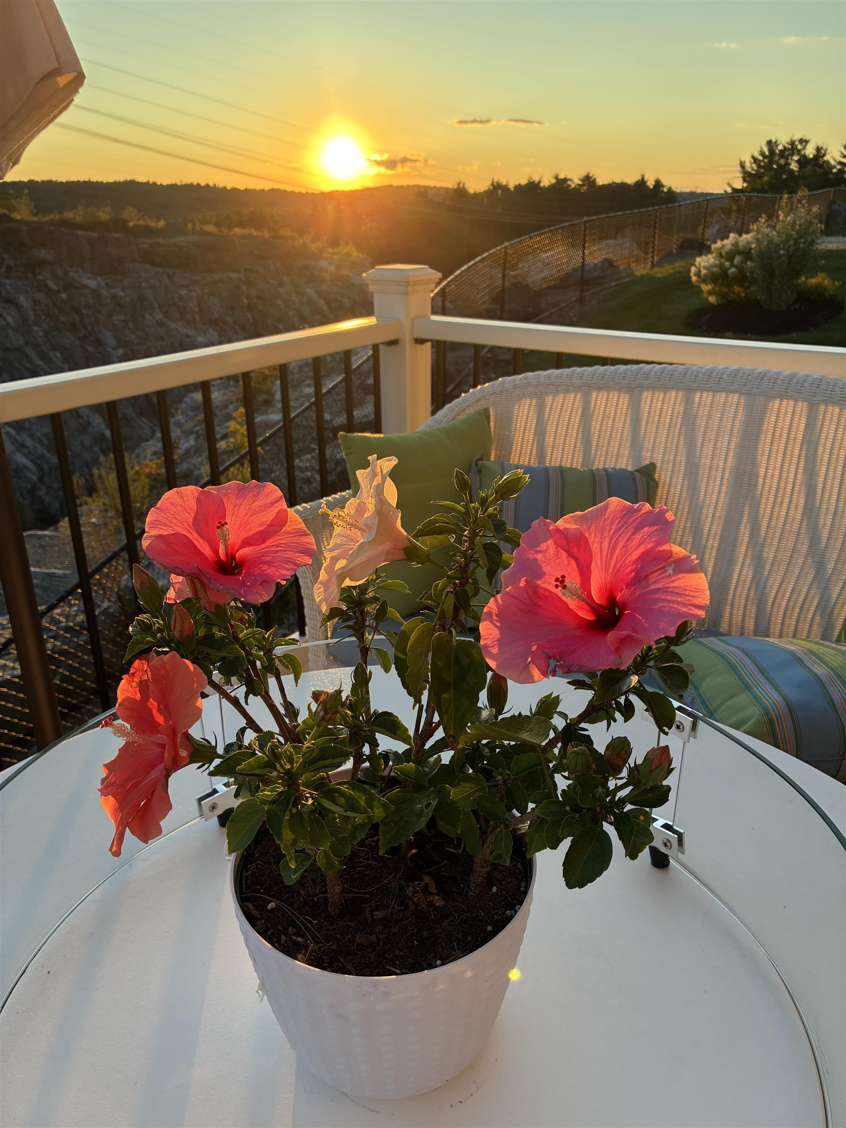 24 Del Ray Drive Windham, NH 03087 - Photo 31 of 31