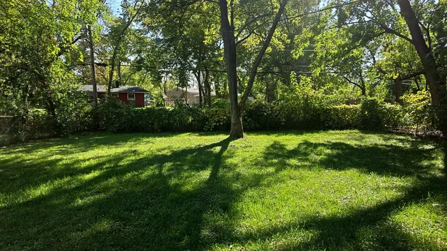 a view of green field with trees in the background