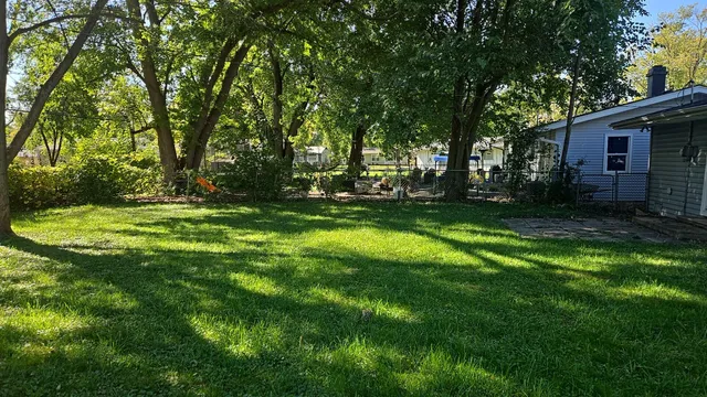 a view of a backyard with large trees