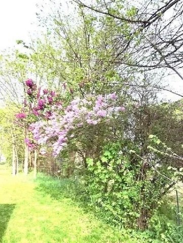 $310,000 | 845 South Meyers Street, Kettle Falls, WA 99141