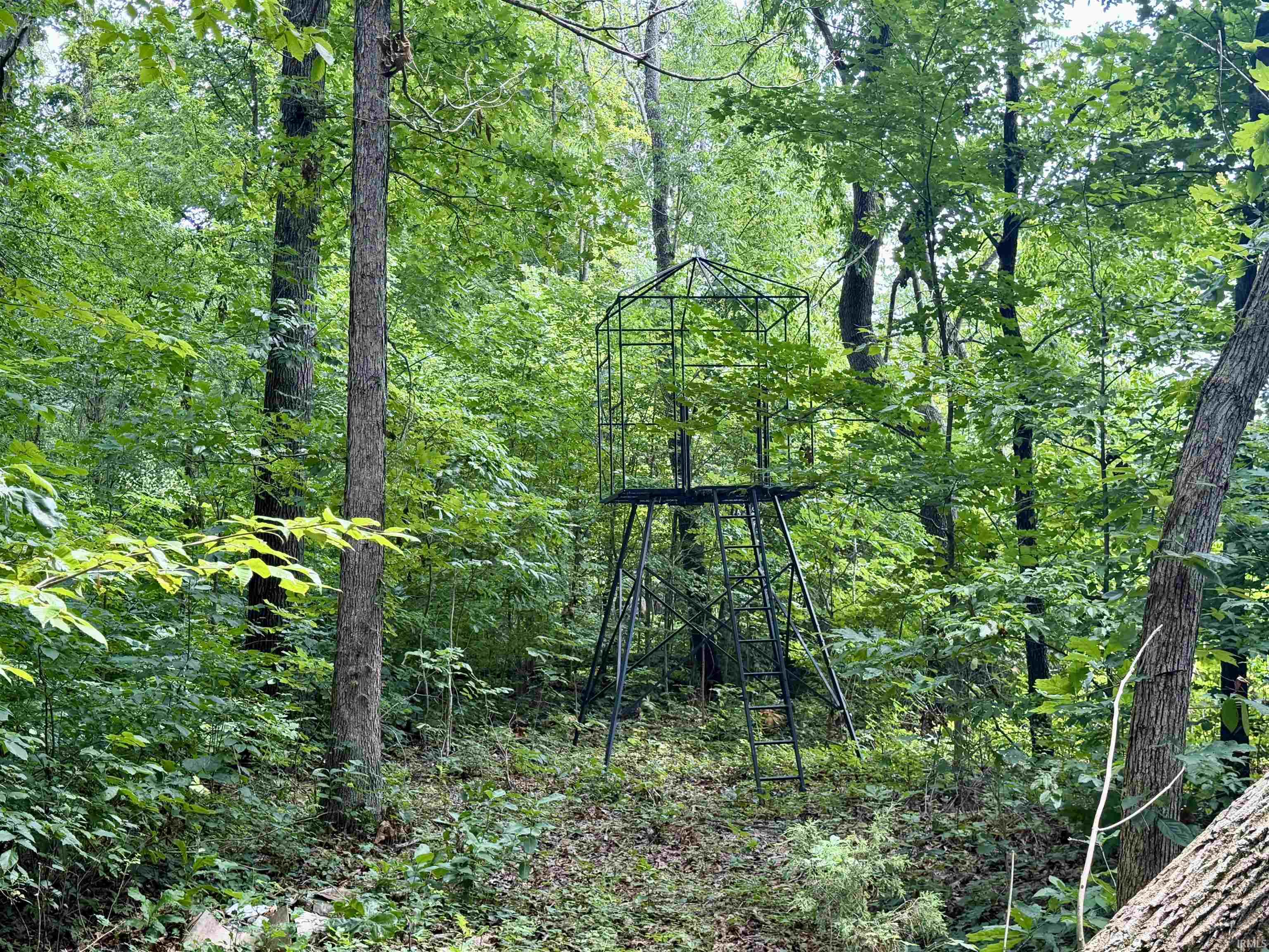 Off Candlestick Road Bristow, IN 47515 - Photo 10 of 30