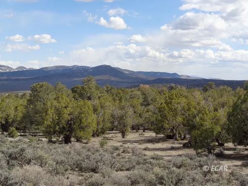 S27 T38n R67e Montello, NV 89830 - Photo 4 of 9
