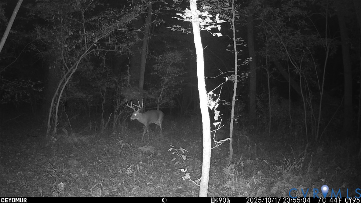 3060 Kingsland Road North Chesterfield, VA 23237 - Photo 43 of 47 Huge Buck