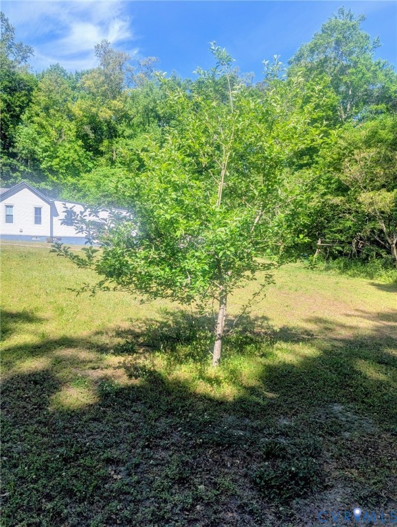 3060 Kingsland Road North Chesterfield, VA 23237 - Photo 45 of 47 Honey Crisp Apple Tree Produces Apples