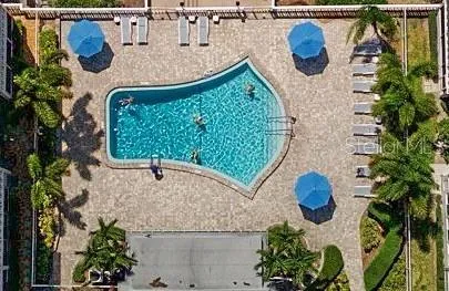 a view of a park with a plants and palm trees