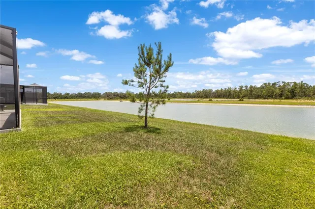 $3,500 | 33700 Hamilton Hl Lane, Wesley Chapel, FL 33545