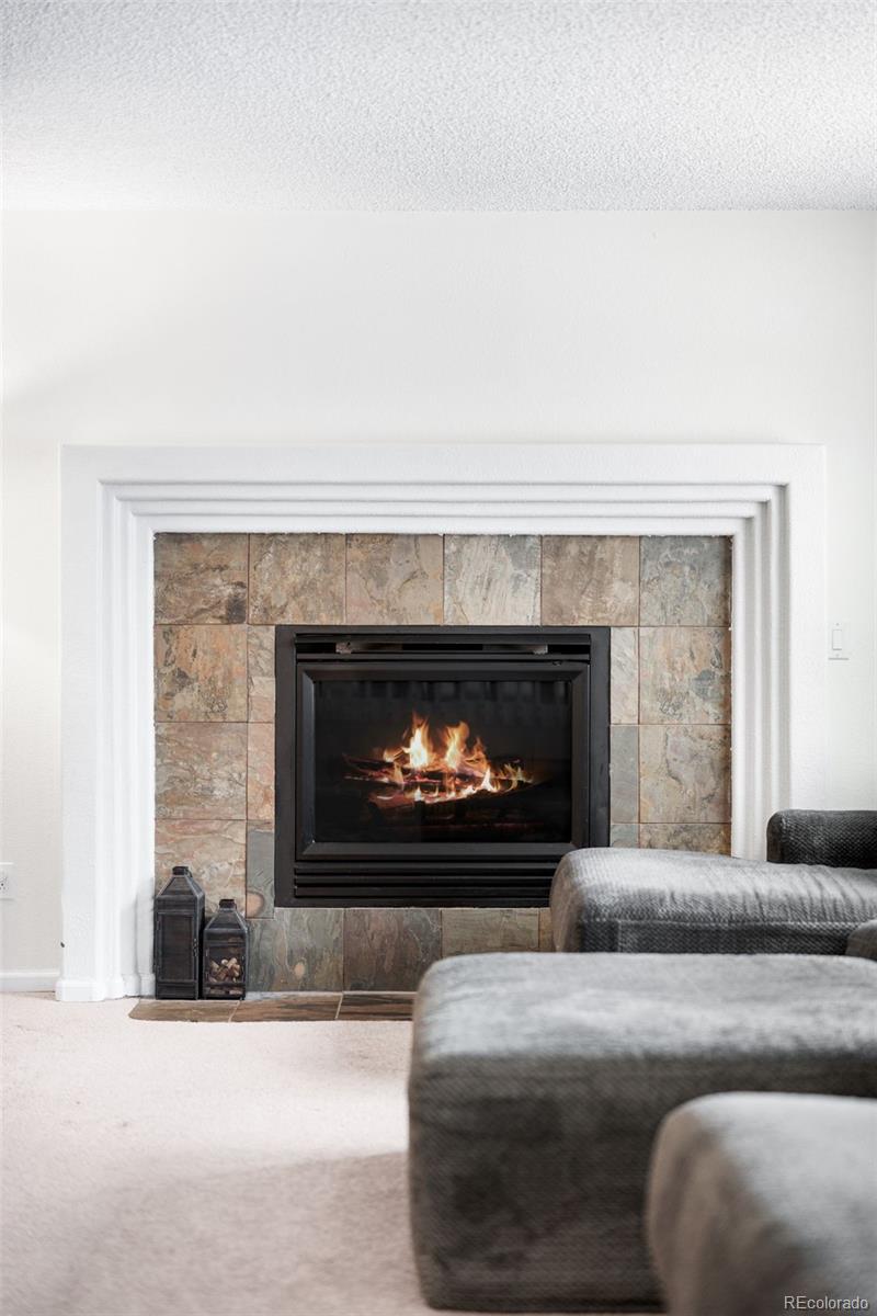 4132 South Jebel Way Aurora, CO 80013 - Photo 13 of 36 a living room with furniture and a fireplace