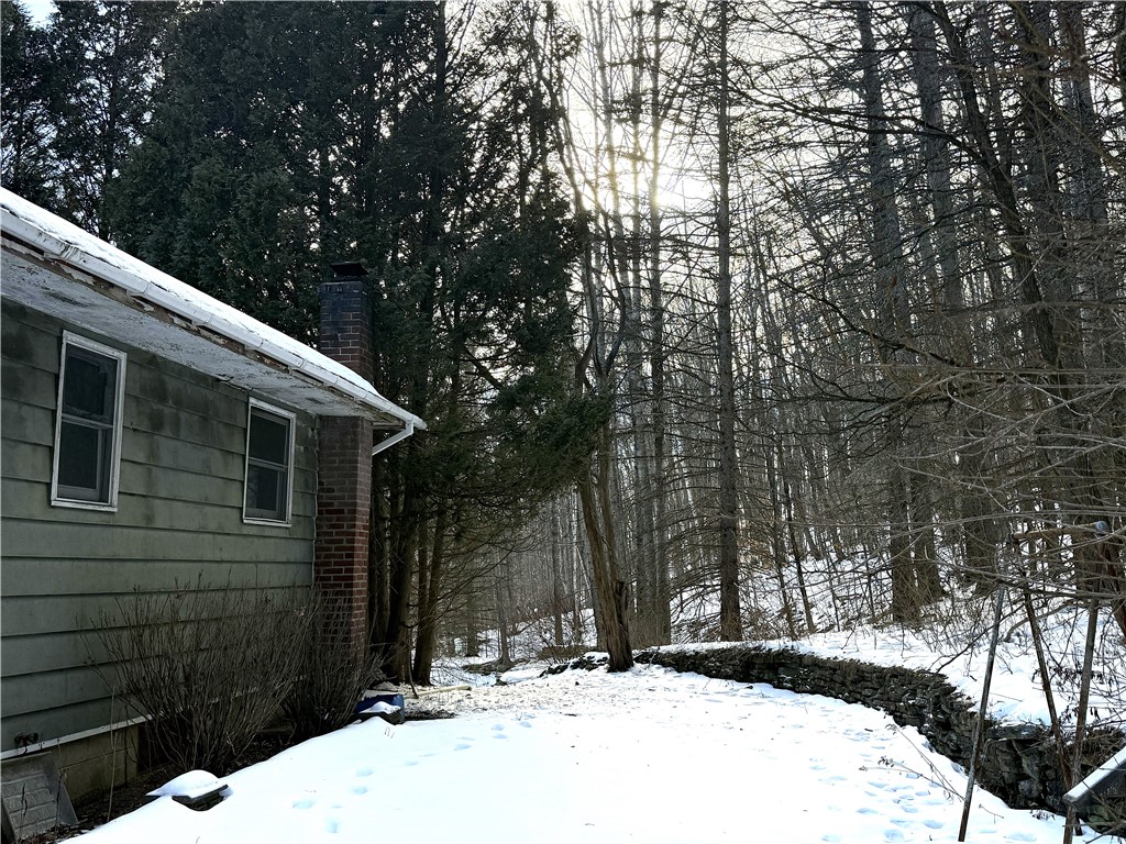 2165 Red Kill Road Fleischmanns, NY 12430 - Photo 10 of 48 house rear