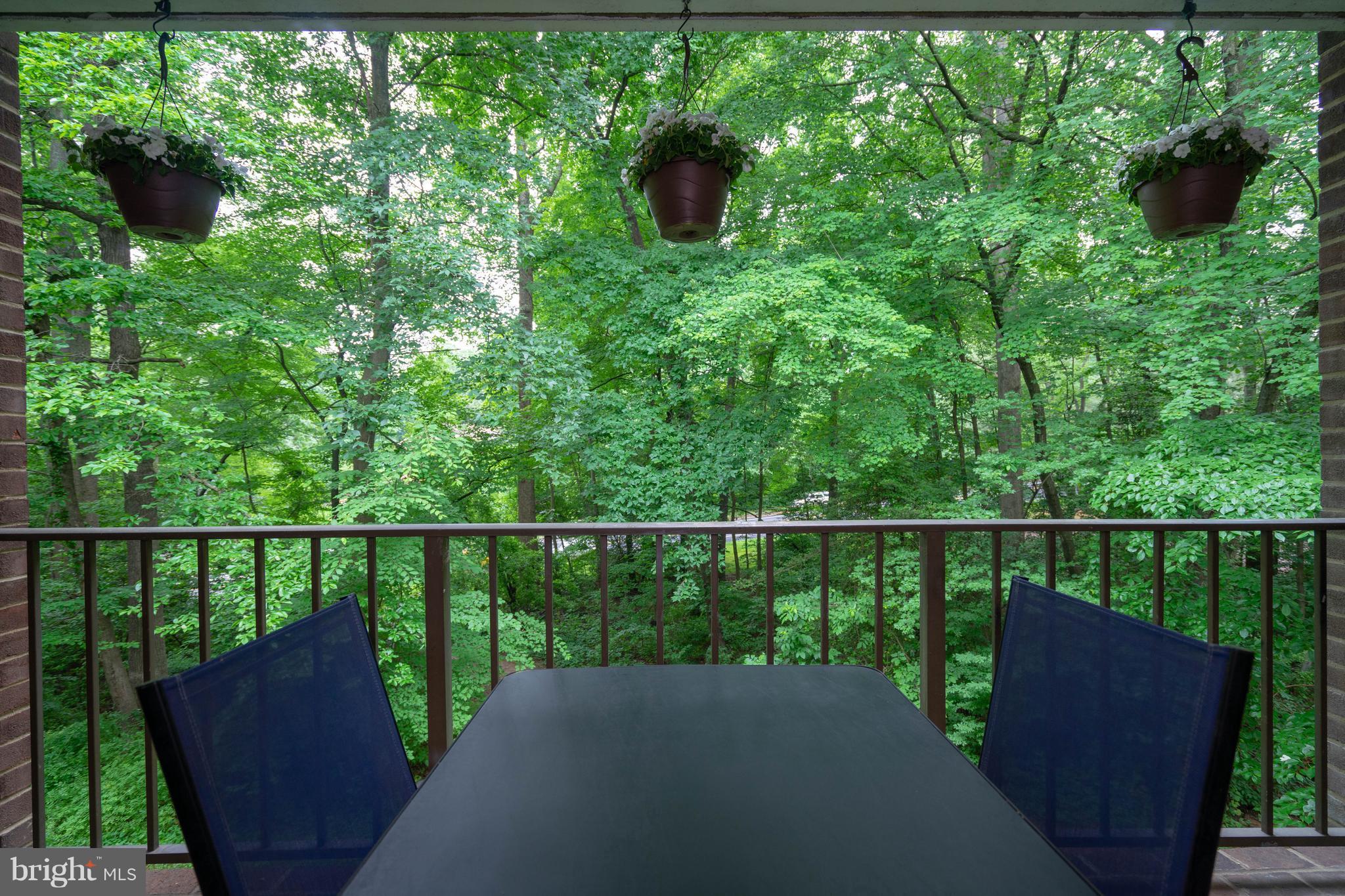 1415 Northgate Square, Unit 12C Reston, VA 20190 - Photo 15 of 15 Serene Patio in Trees