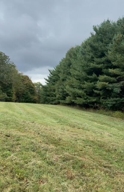 0 Davis Road Campbellsville, KY 42718 - Photo 8 of 18 IMG_0980