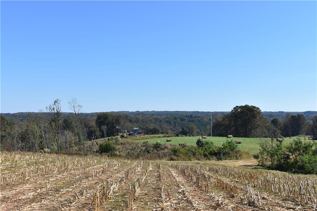 2167 Mining Ridge Church Road Elkin, NC 28621 - Photo 16 of 26 Gallery Image 16