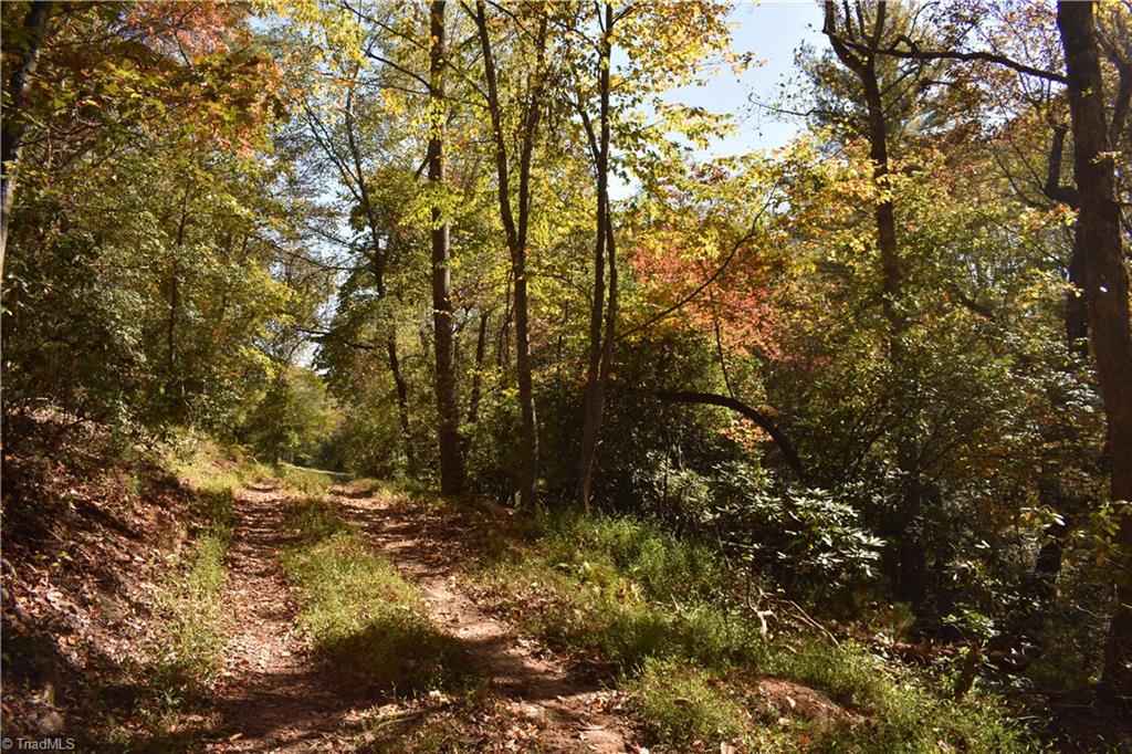 2167 Mining Ridge Church Road Elkin, NC 28621 - Photo 19 of 26 Gallery Image 19