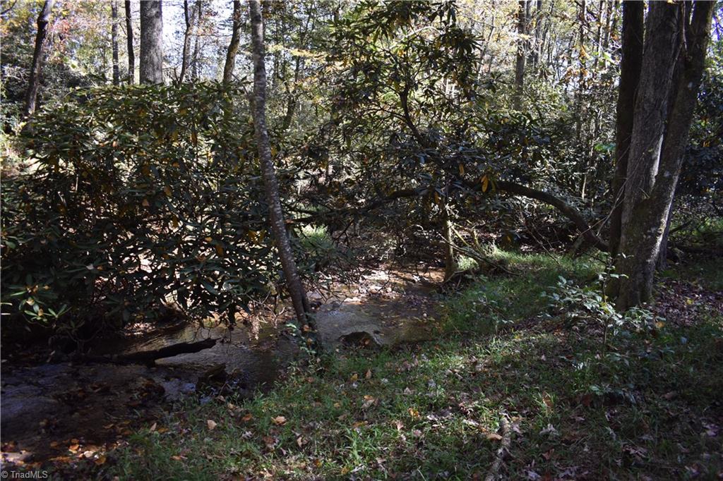2167 Mining Ridge Church Road Elkin, NC 28621 - Photo 22 of 26 Gallery Image 22