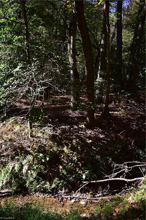 2167 Mining Ridge Church Road Elkin, NC 28621 - Photo 6 of 26 Gallery Image 6