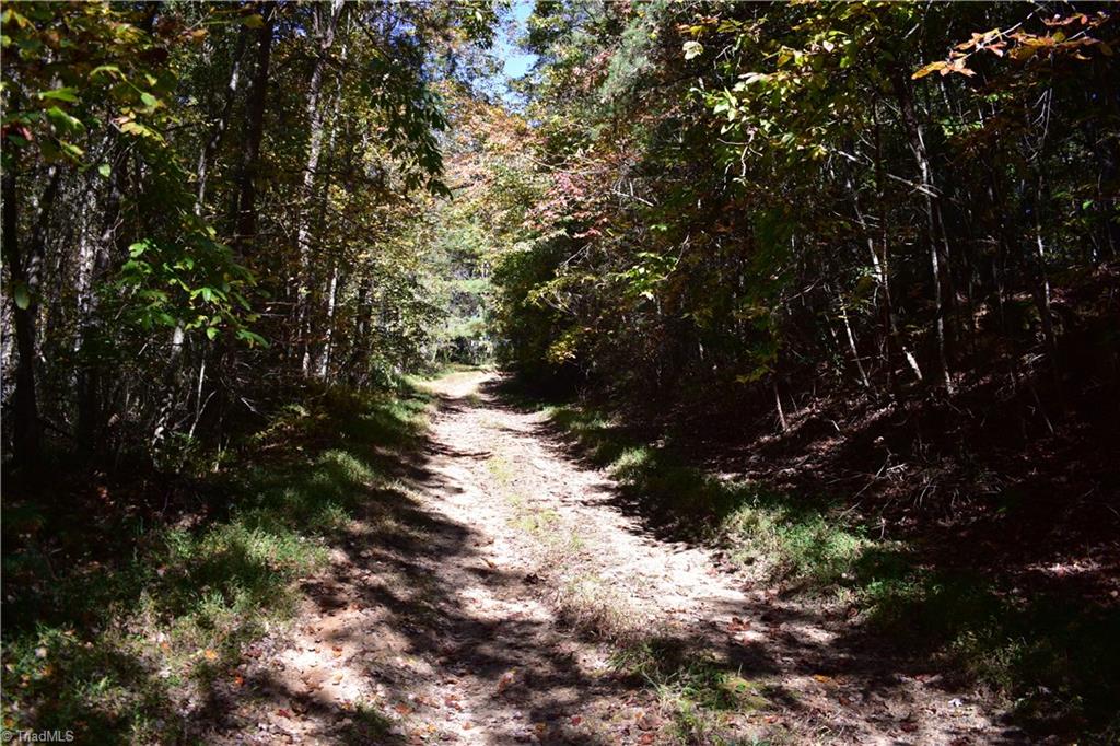 2167 Mining Ridge Church Road Elkin, NC 28621 - Photo 7 of 26 Gallery Image 7