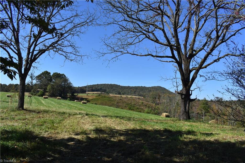 2167 Mining Ridge Church Road Elkin, NC 28621 - Photo 9 of 26 Gallery Image 9